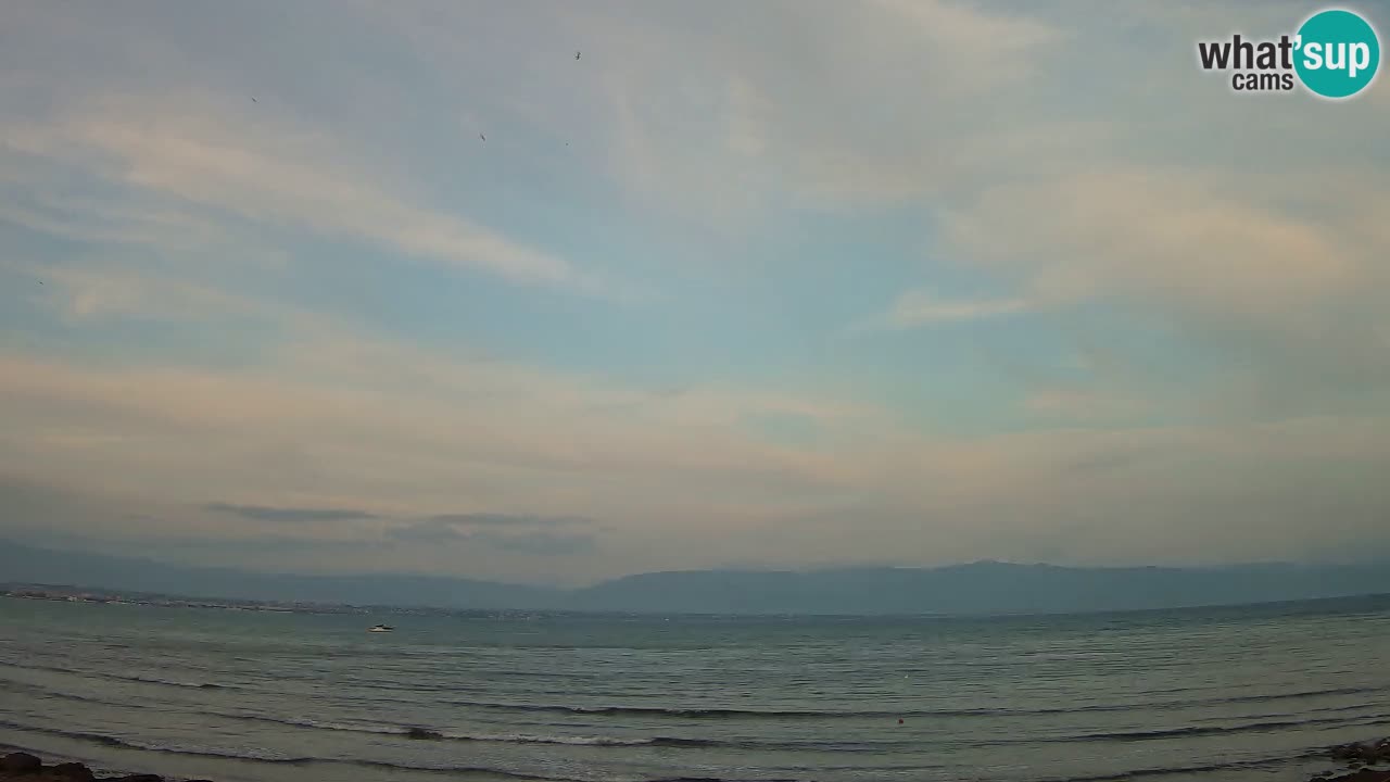 Webcam Cagliari Windsurf Club – Live from Poetto Beach