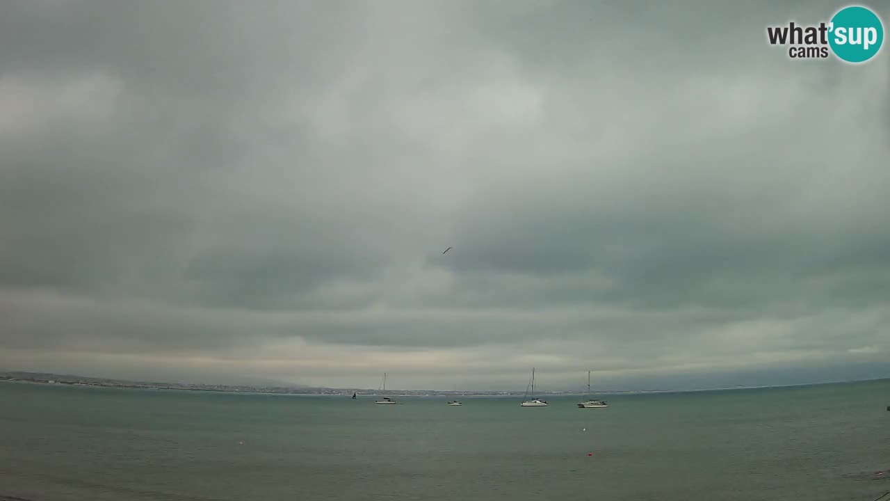 Web kamera Cagliari Windsurf Club – Poetto plaža uživo