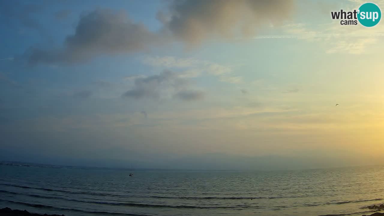 Webcam Cagliari Windsurf Club – Liveblick vom Poetto Strand