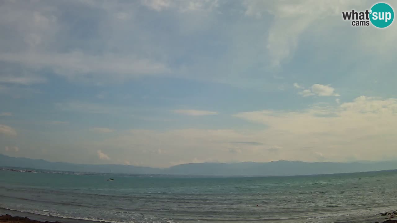 Webcam Cagliari Windsurf Club – Plage du Poetto en direct