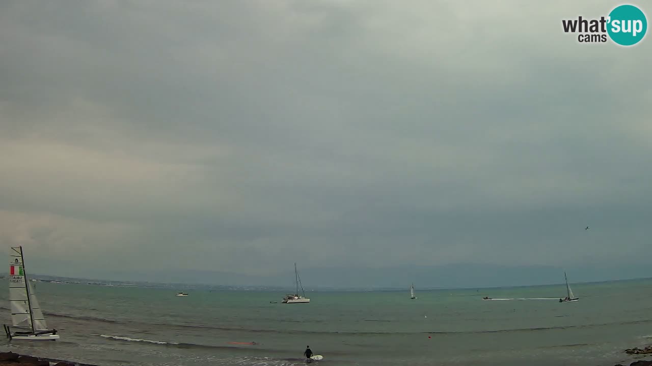 Webcam Cagliari Windsurf Club – Plage du Poetto en direct