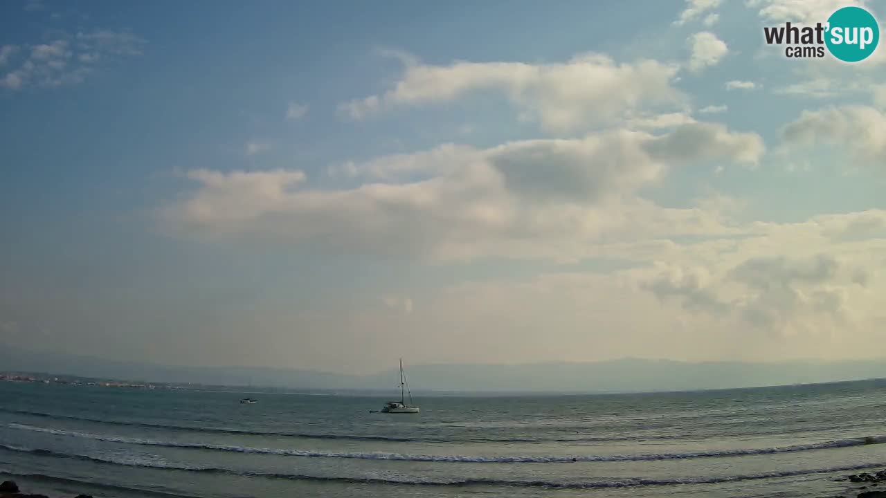 Webcam Cagliari Windsurf Club – Live from Poetto Beach