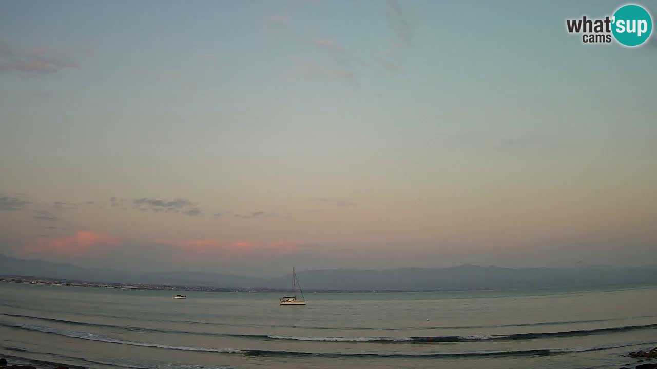 Webcam Cagliari Windsurf Club – Plage du Poetto en direct