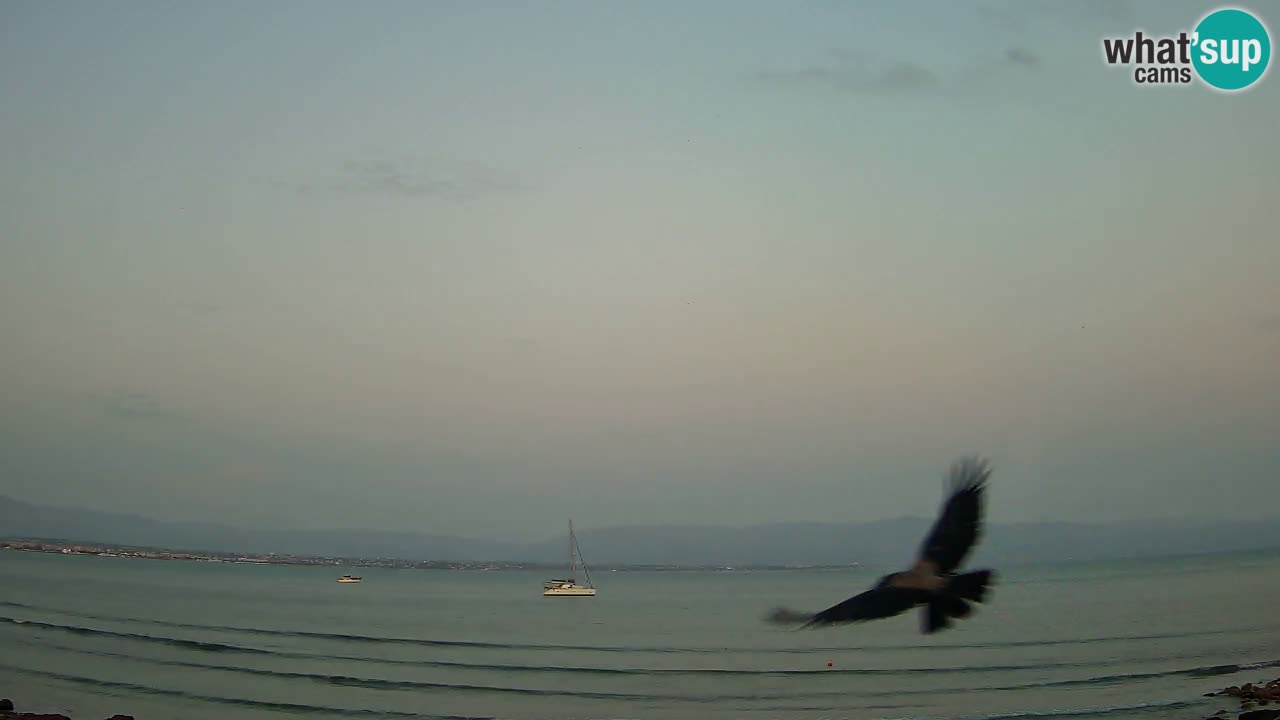 Web kamera Cagliari Windsurf Club – Poetto plaža uživo