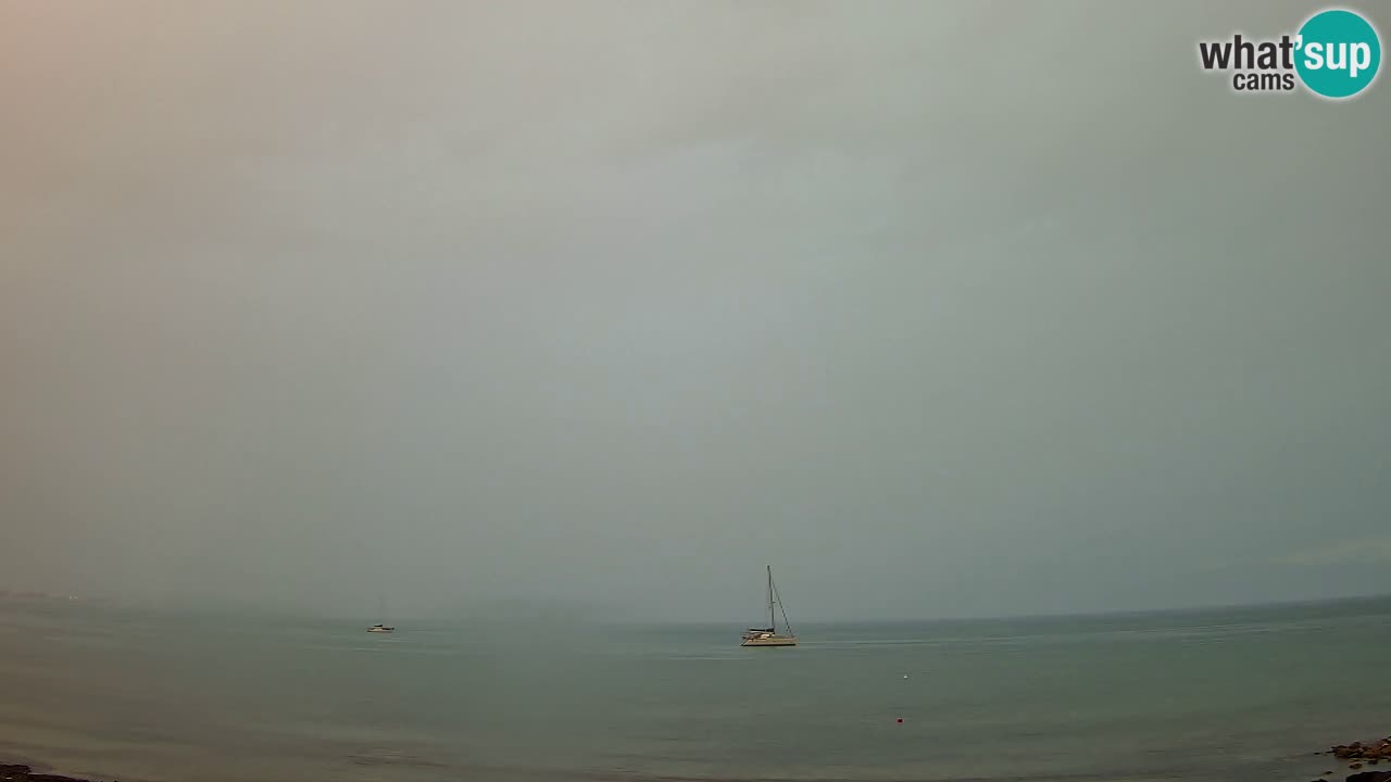 Webcam Cagliari Windsurf Club – Plage du Poetto en direct