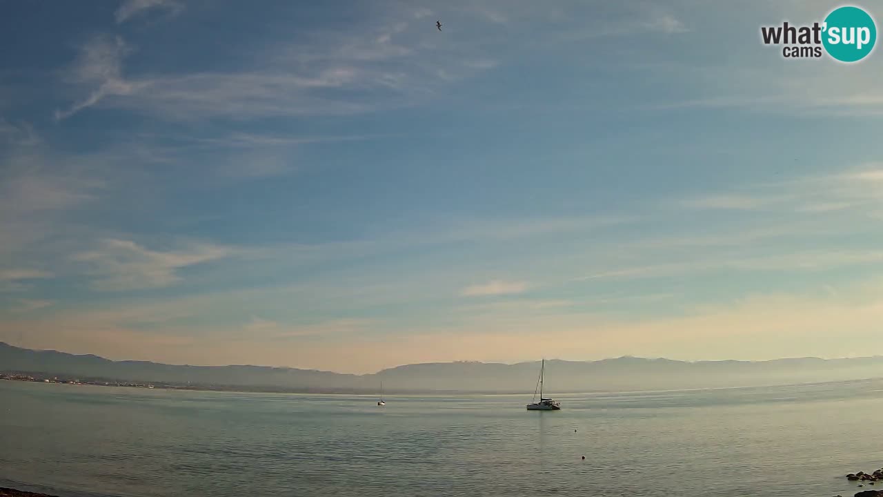 Webcam Cagliari Windsurf Club – Live from Poetto Beach