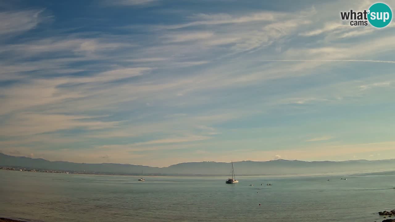 Webcam Cagliari Windsurf Club – Liveblick vom Poetto Strand