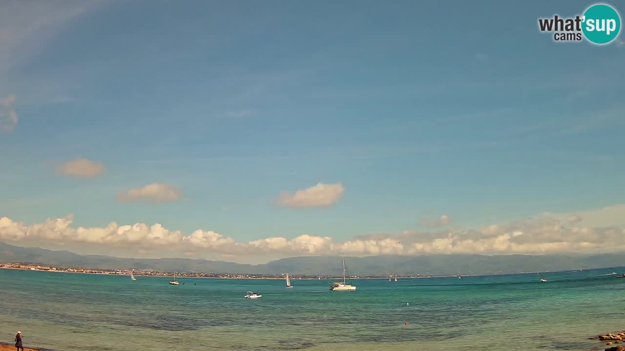Webcam Cagliari Windsurf Club – Plage du Poetto en direct