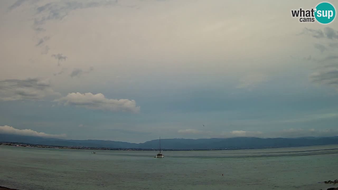 Webcam Cagliari Windsurf Club – Liveblick vom Poetto Strand