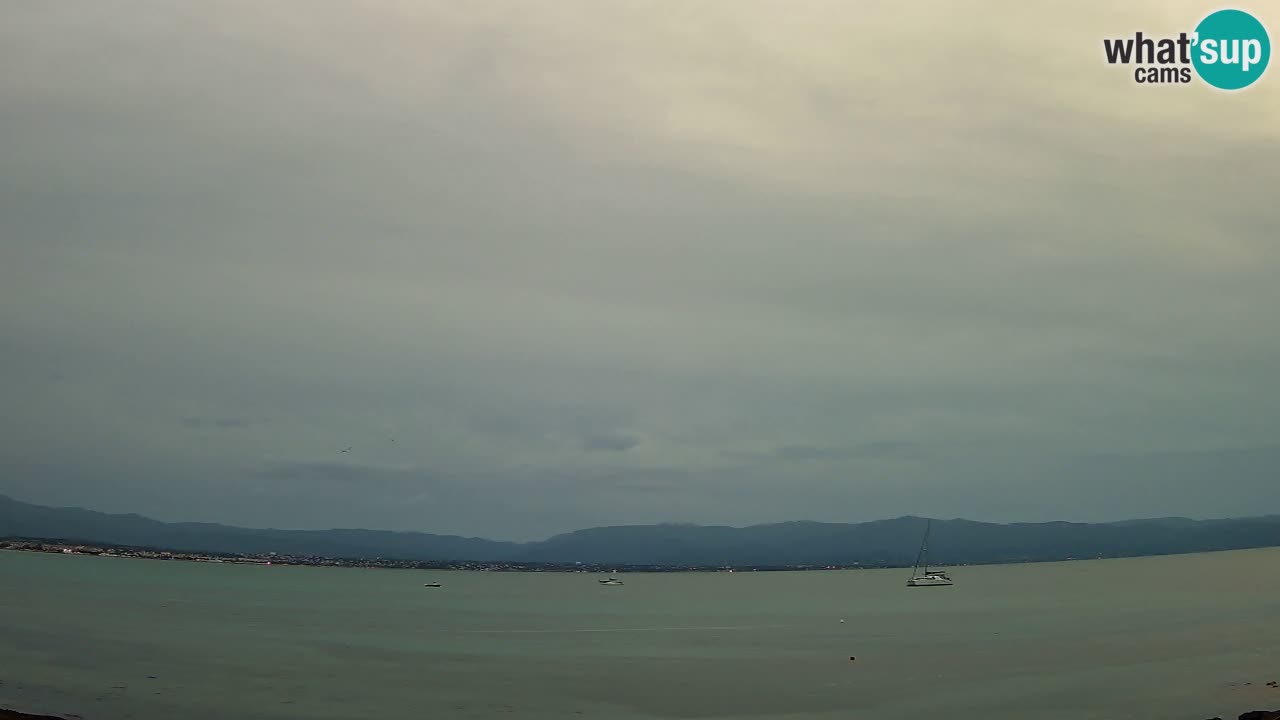 Spletna kamera Cagliari Windsurf Club – Pogled v živo s plaže Poetto