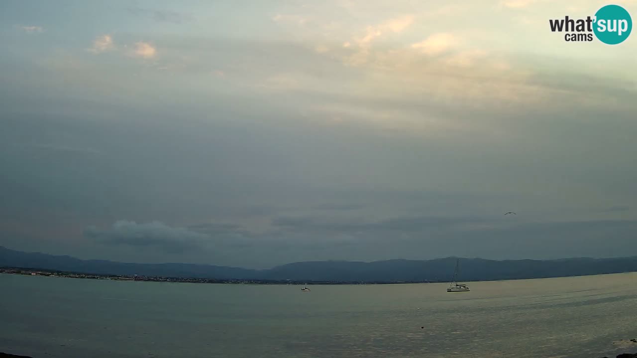 Webcam Cagliari Windsurf Club – Liveblick vom Poetto Strand