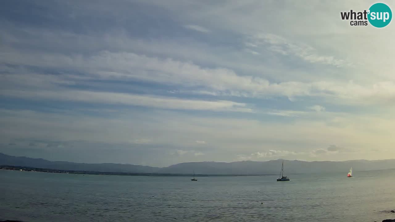 Webcam Cagliari Windsurf Club – Live from Poetto Beach