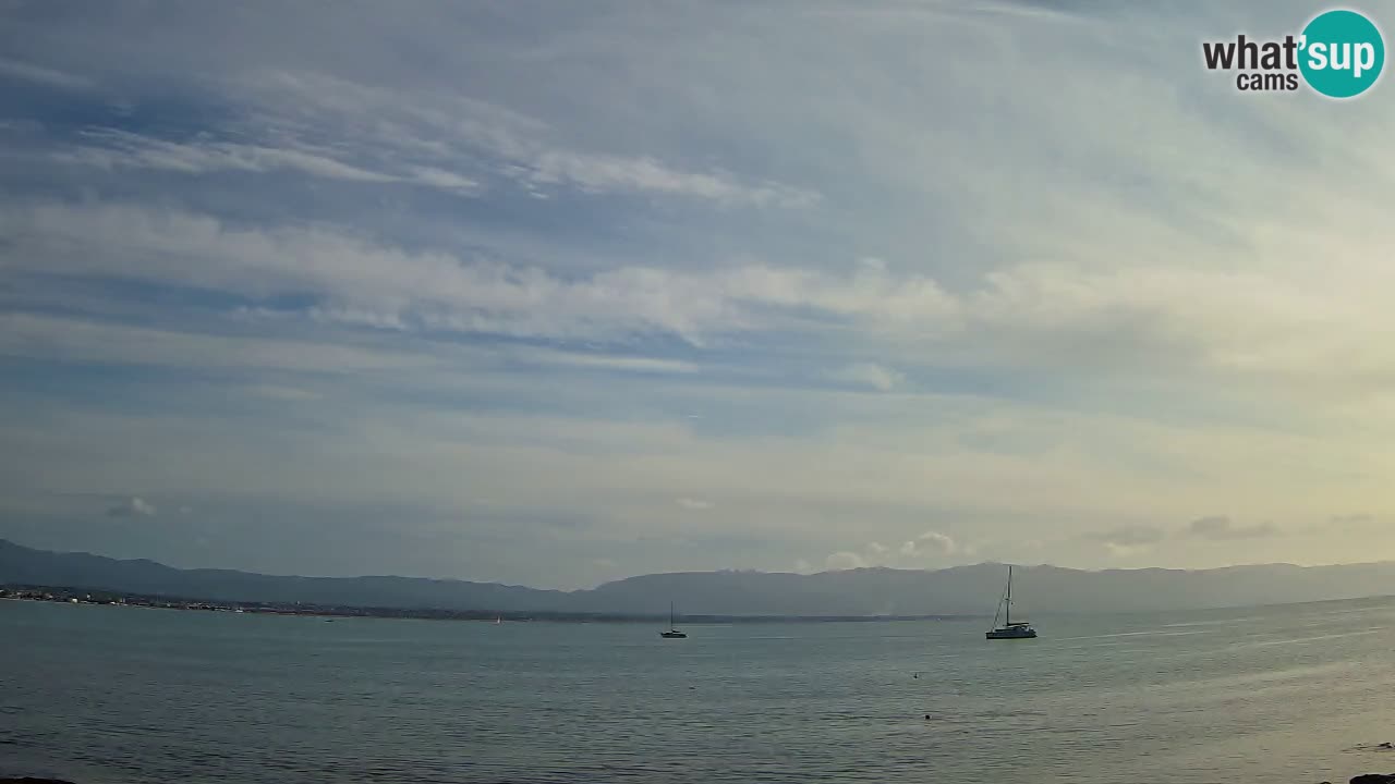 Webcam Cagliari Windsurf Club – Live from Poetto Beach