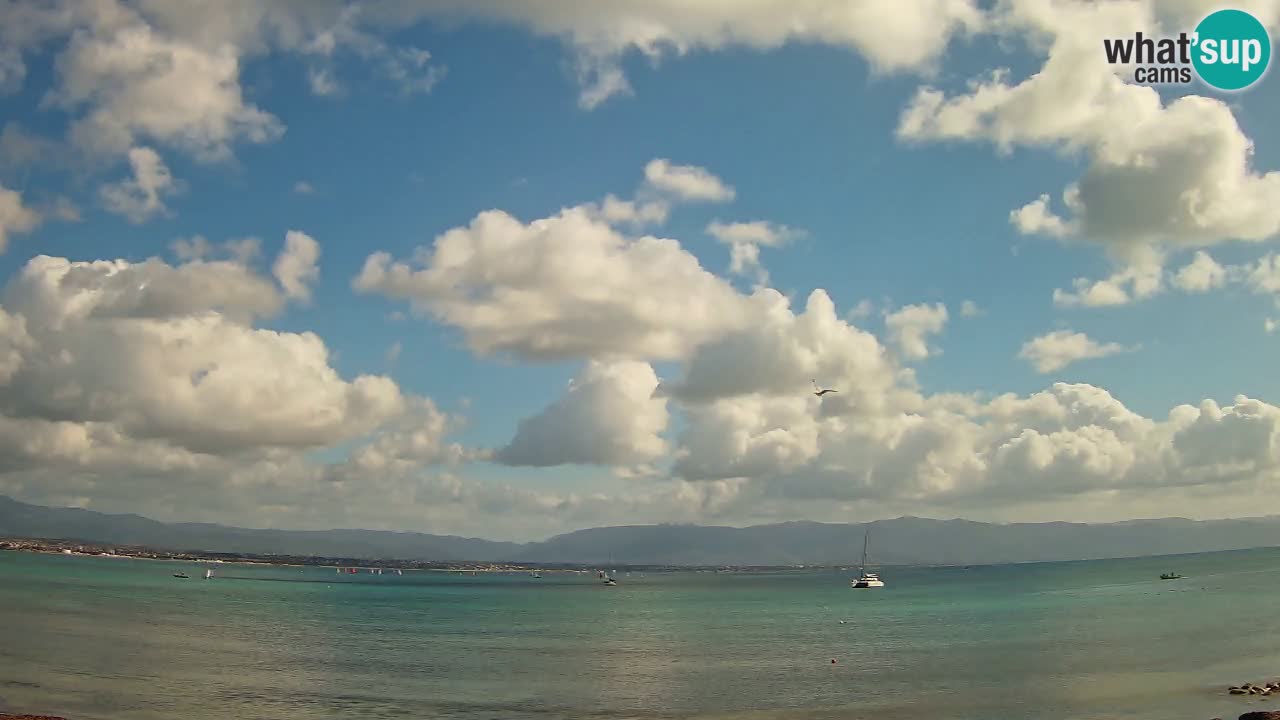 Webcam Cagliari Windsurf Club – Liveblick vom Poetto Strand