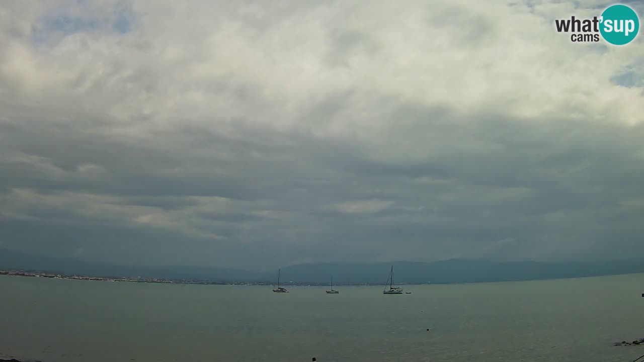 Webcam Cagliari Windsurf Club – Liveblick vom Poetto Strand