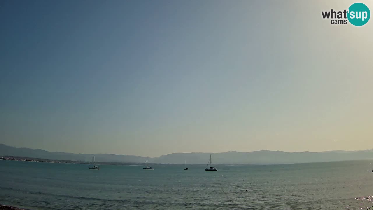 Webcam Cagliari Windsurf Club – Liveblick vom Poetto Strand
