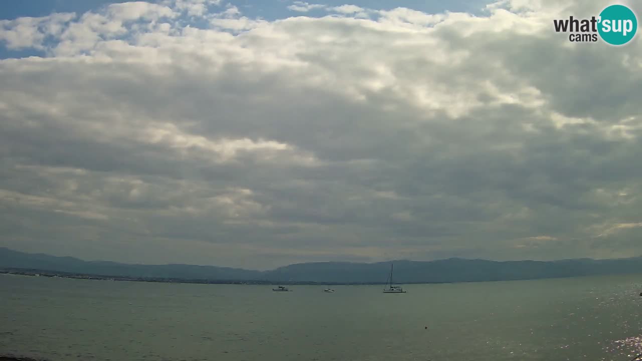 Webcam Cagliari Windsurf Club – Live from Poetto Beach