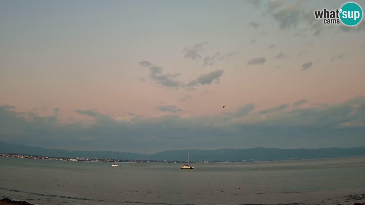 Webcam Cagliari Windsurf Club – Plage du Poetto en direct