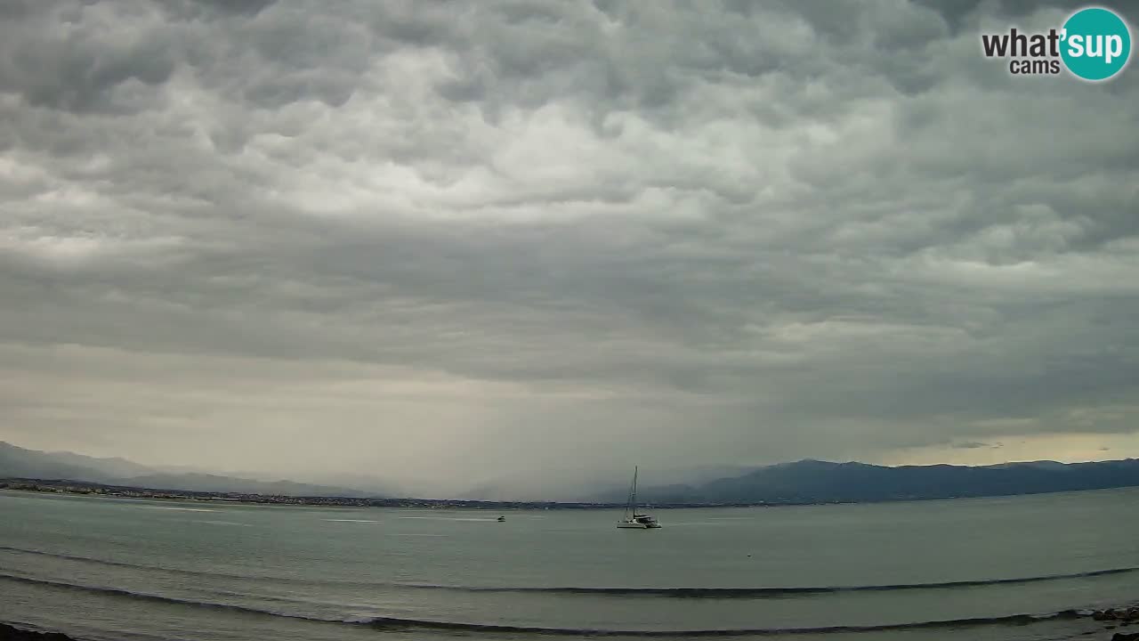 Webcam Cagliari Windsurf Club – Plage du Poetto en direct