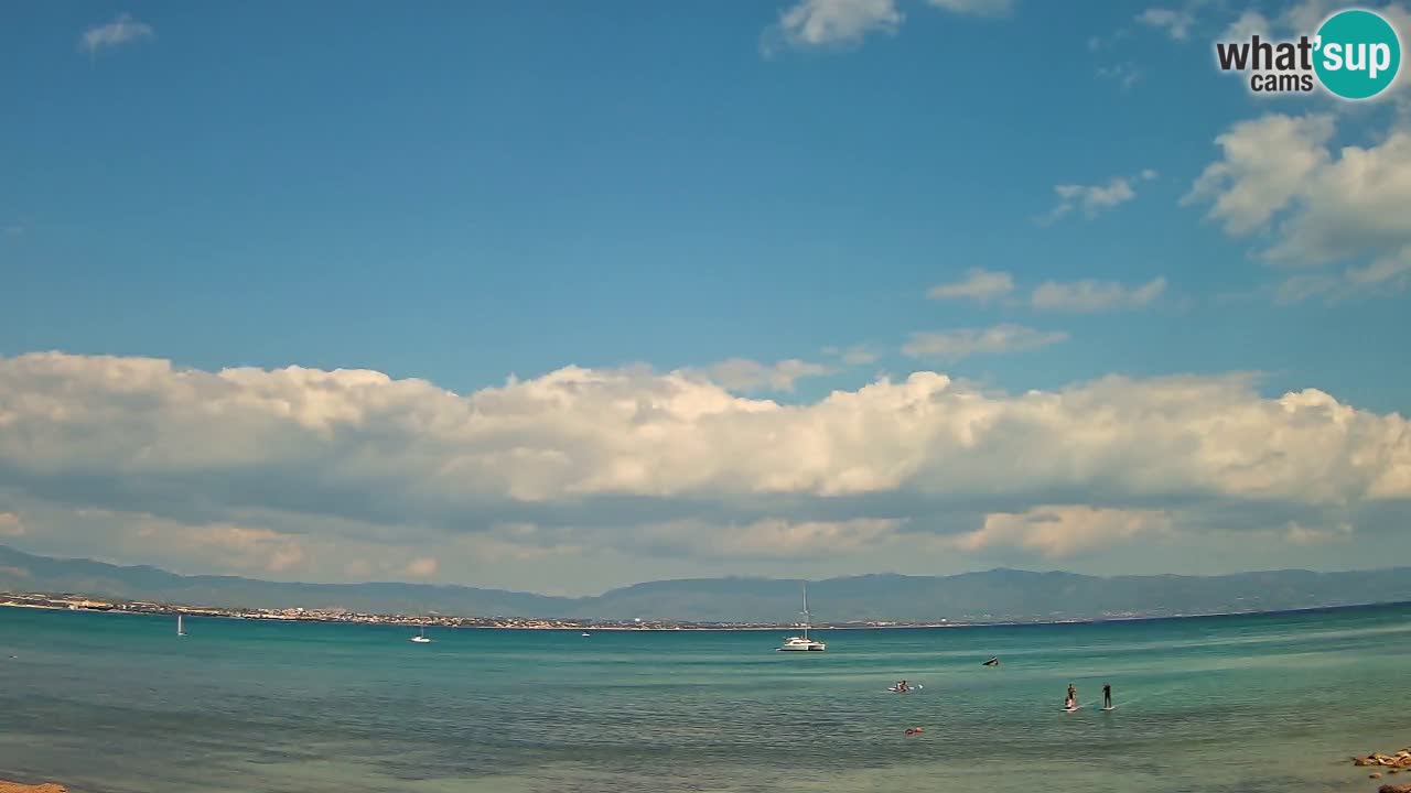 Webcam Cagliari Windsurf Club – Plage du Poetto en direct