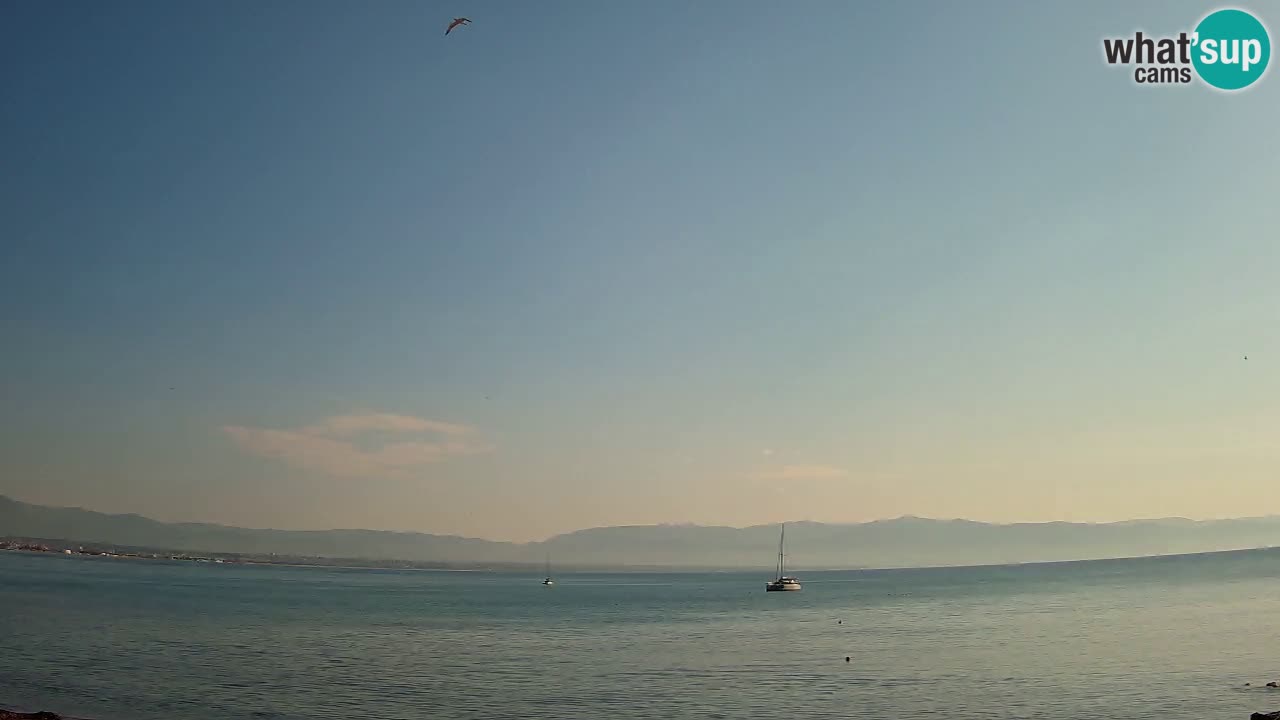 Webcam Cagliari Windsurf Club – Live from Poetto Beach