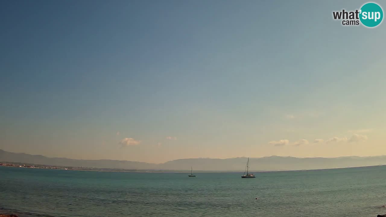 Web kamera Cagliari Windsurf Club – Poetto plaža uživo