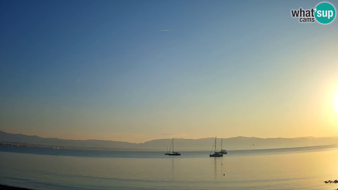 Webcam Cagliari Windsurf Club – Liveblick vom Poetto Strand