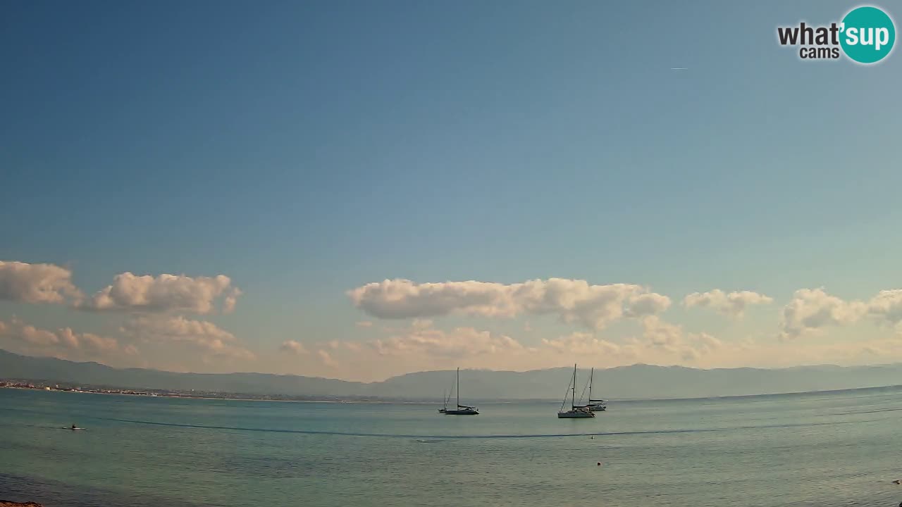 Webcam Cagliari Windsurf Club – Liveblick vom Poetto Strand