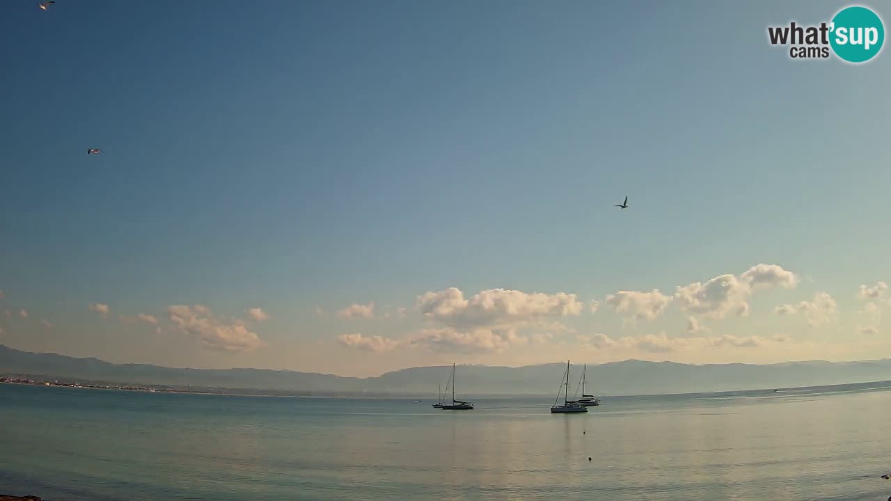 Webcam Cagliari Windsurf Club – Plage du Poetto en direct