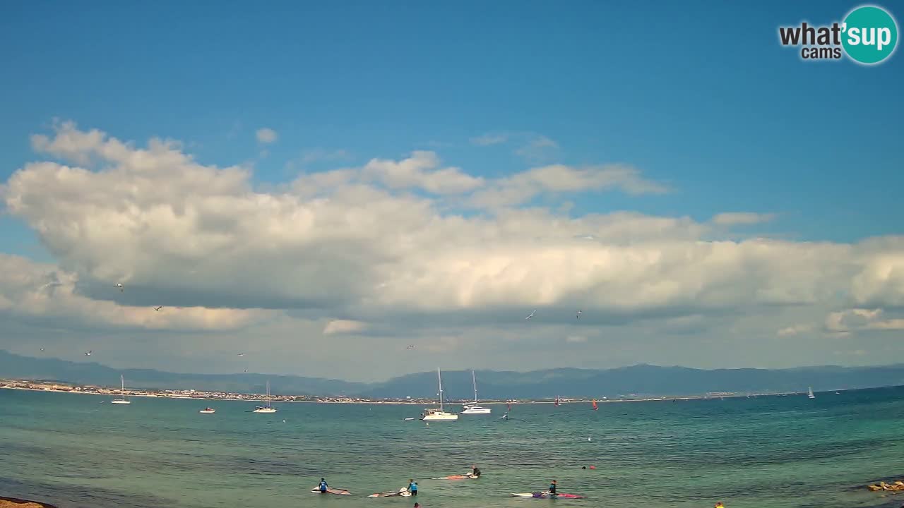 Webcam Cagliari Windsurf Club – Live from Poetto Beach