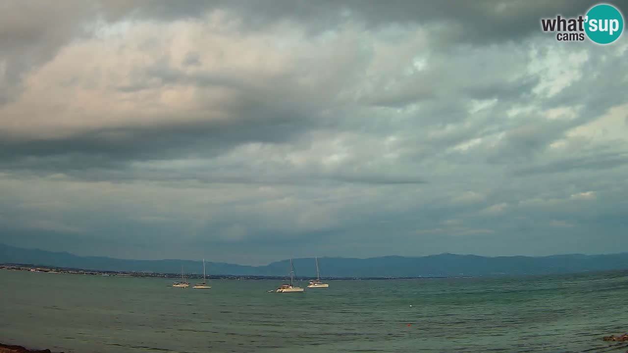 Webcam Cagliari Windsurf Club – Spiaggia del Poetto in diretta