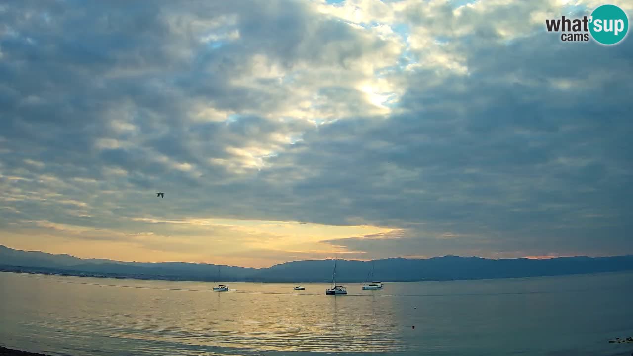 Webcam Cagliari Windsurf Club – Plage du Poetto en direct