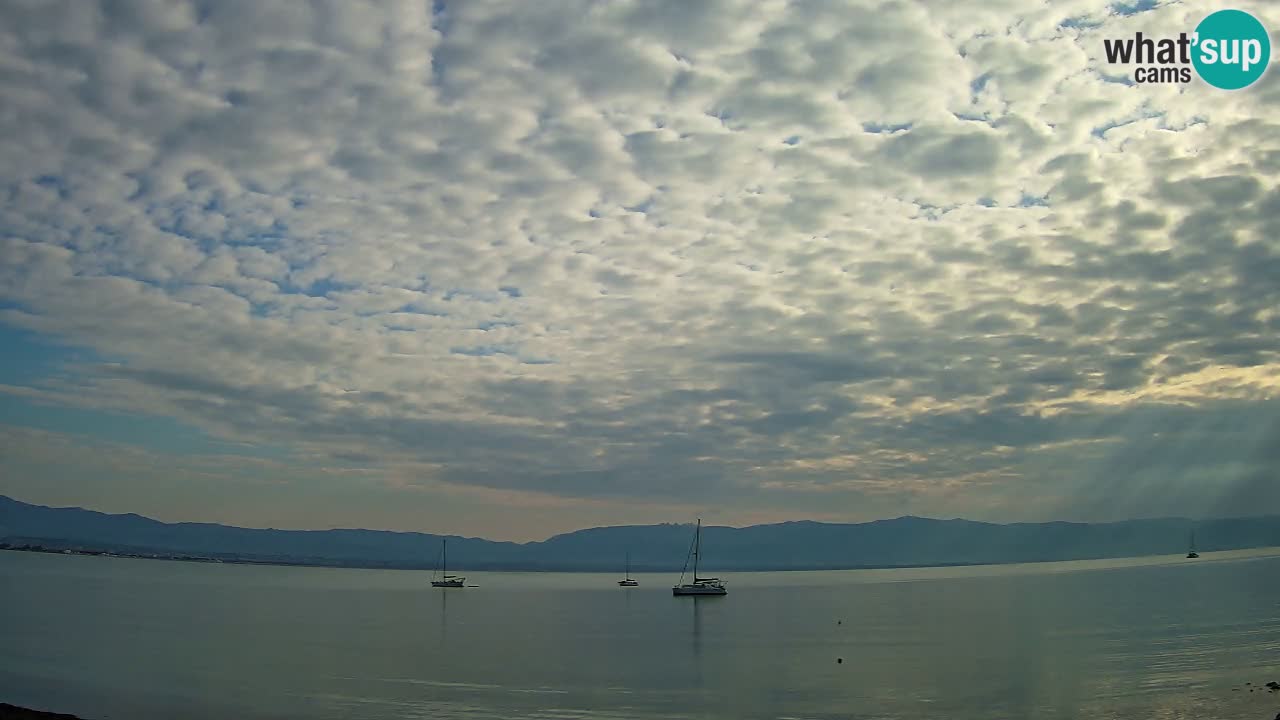 Webcam Cagliari Windsurf Club – Plage du Poetto en direct