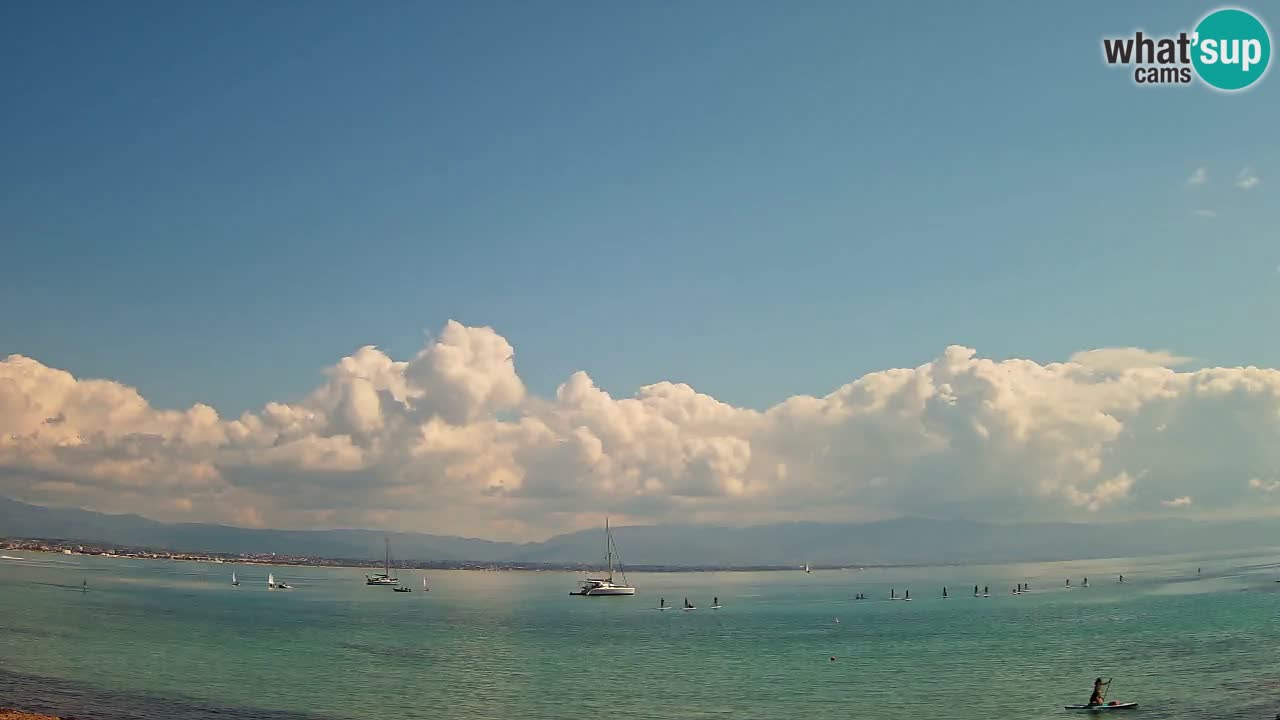 Webcam Cagliari Windsurf Club – Plage du Poetto en direct