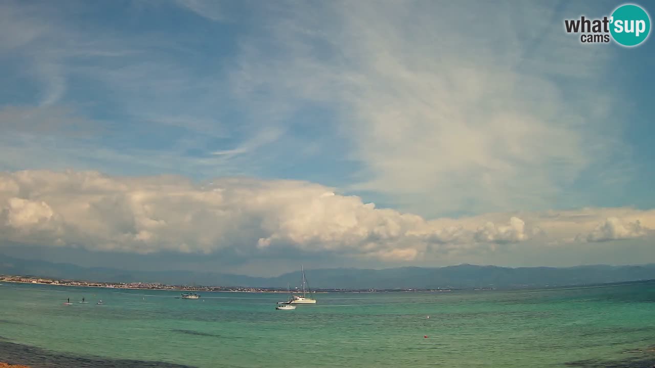 Webcam Cagliari Windsurf Club – Plage du Poetto en direct