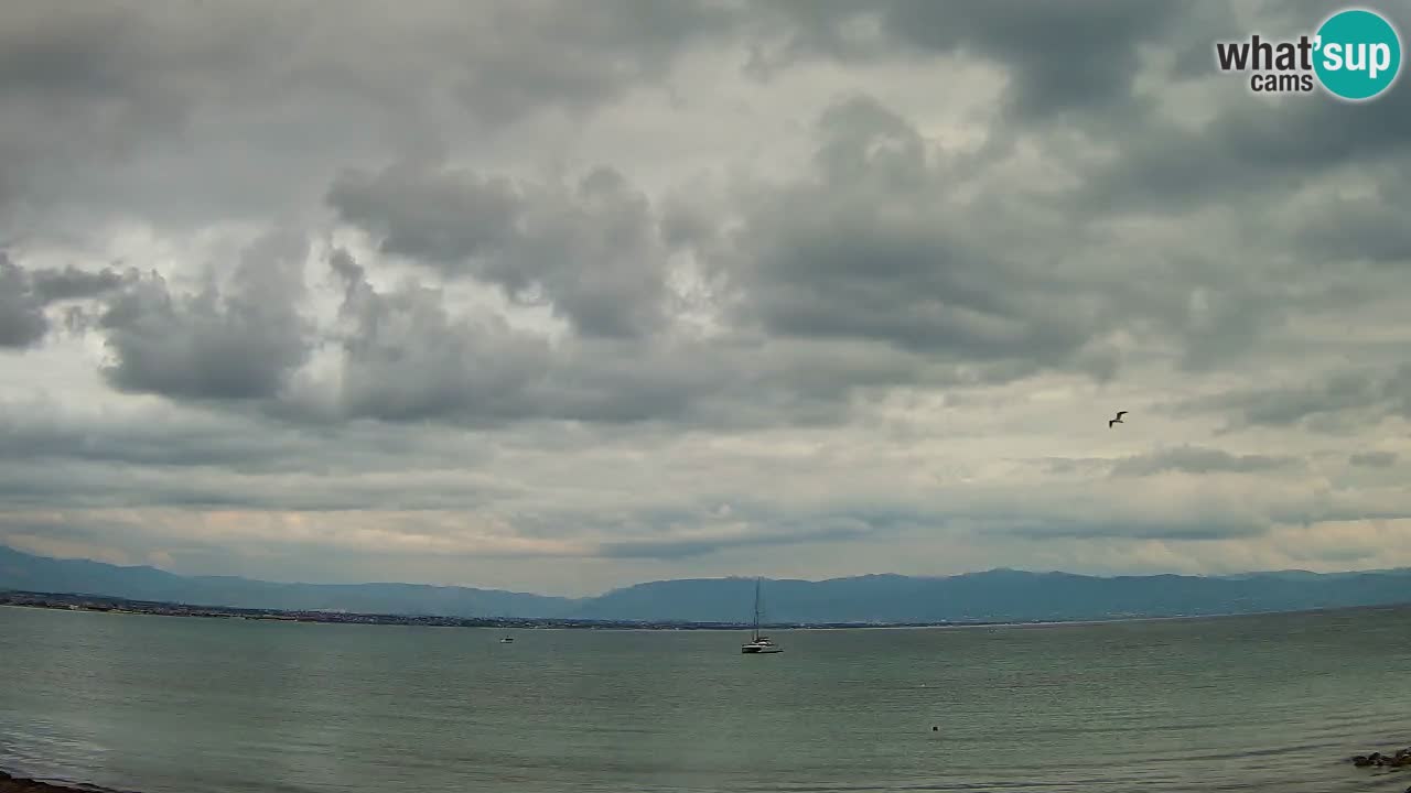 Webcam Cagliari Windsurf Club – Live from Poetto Beach