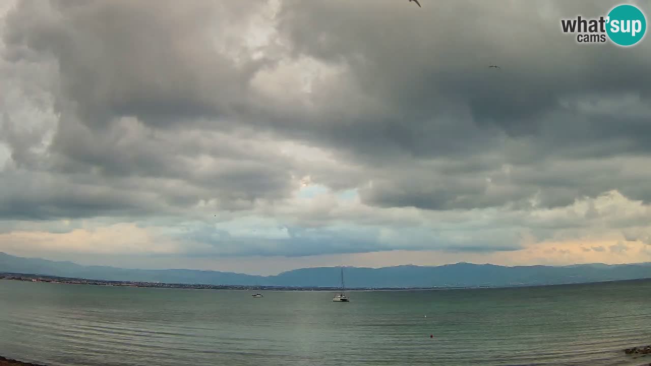 Webcam Cagliari Windsurf Club – Plage du Poetto en direct