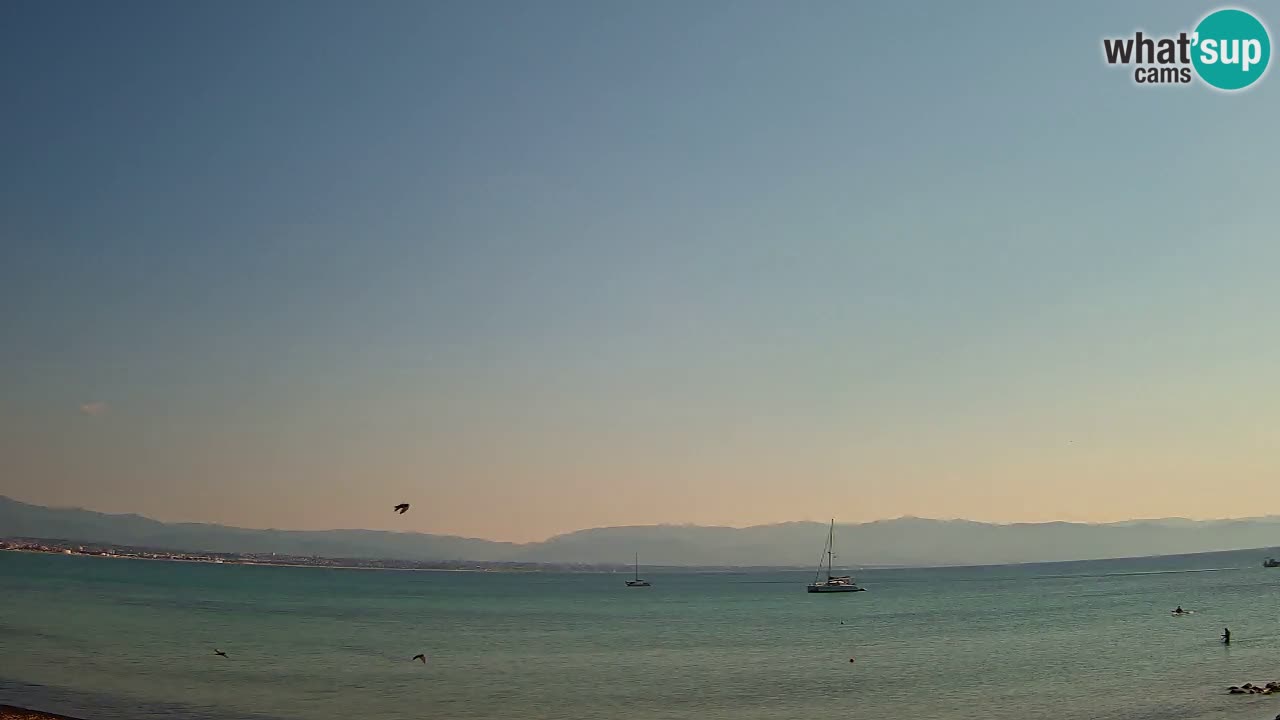 Webcam Cagliari Windsurf Club – Liveblick vom Poetto Strand