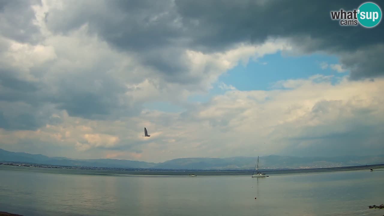 Webcam Cagliari Windsurf Club – Spiaggia del Poetto in diretta