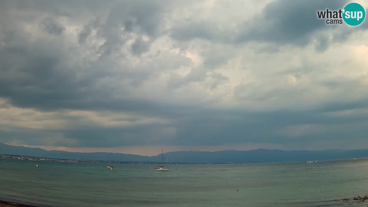 Webcam Cagliari Windsurf Club – Liveblick vom Poetto Strand