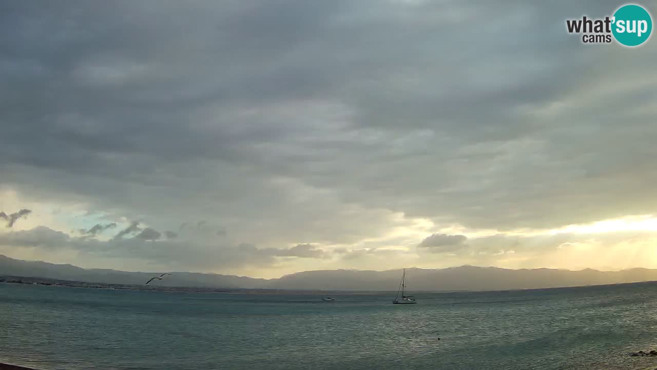 Webcam Cagliari Windsurf Club – Liveblick vom Poetto Strand