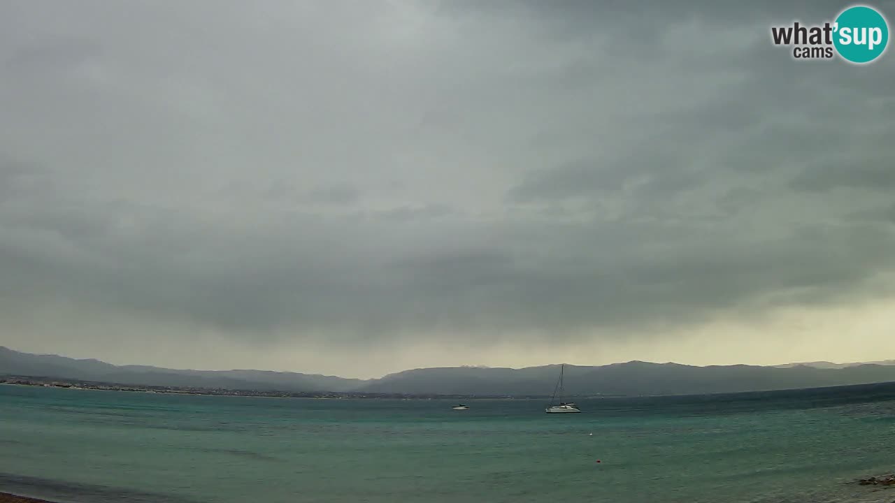 Webcam Cagliari Windsurf Club – Liveblick vom Poetto Strand
