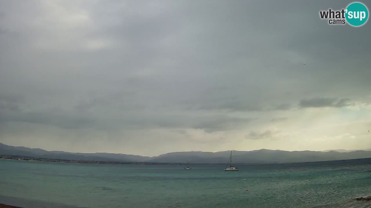 Webcam Cagliari Windsurf Club – Plage du Poetto en direct