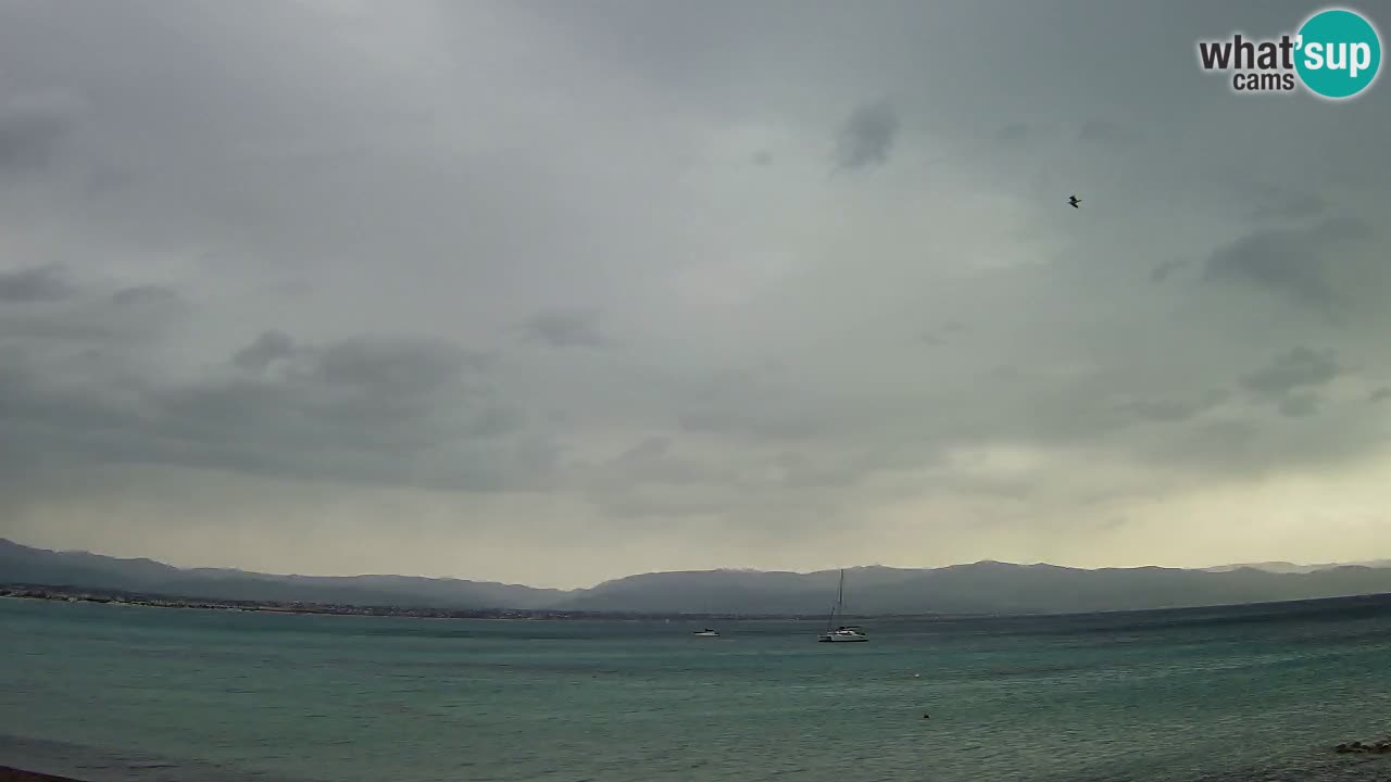 Webcam Cagliari Windsurf Club – Liveblick vom Poetto Strand