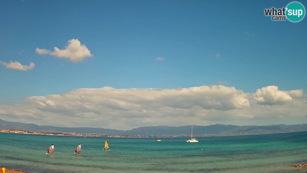 Webcam Cagliari Windsurf Club – Plage du Poetto en direct