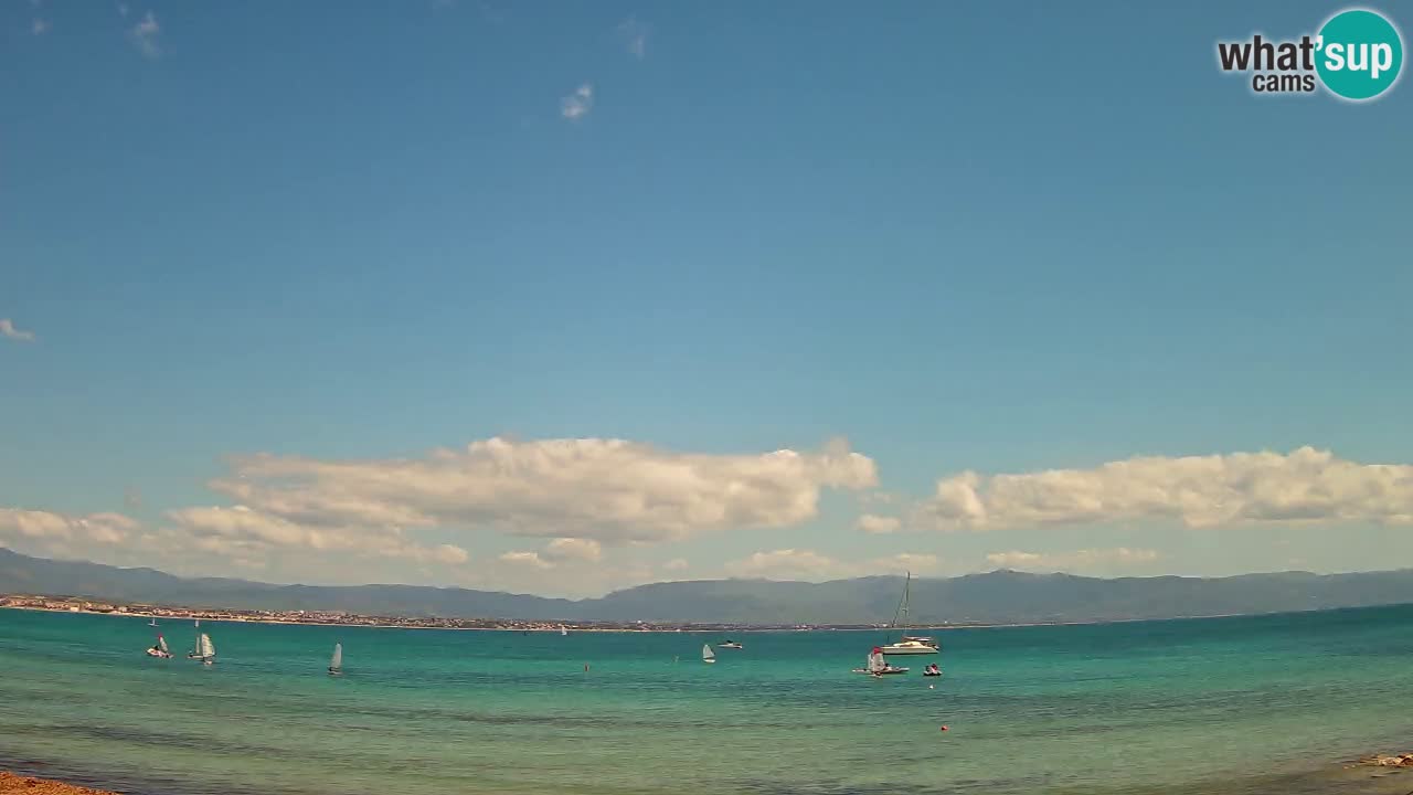 Webcam Cagliari Windsurf Club – Spiaggia del Poetto in diretta