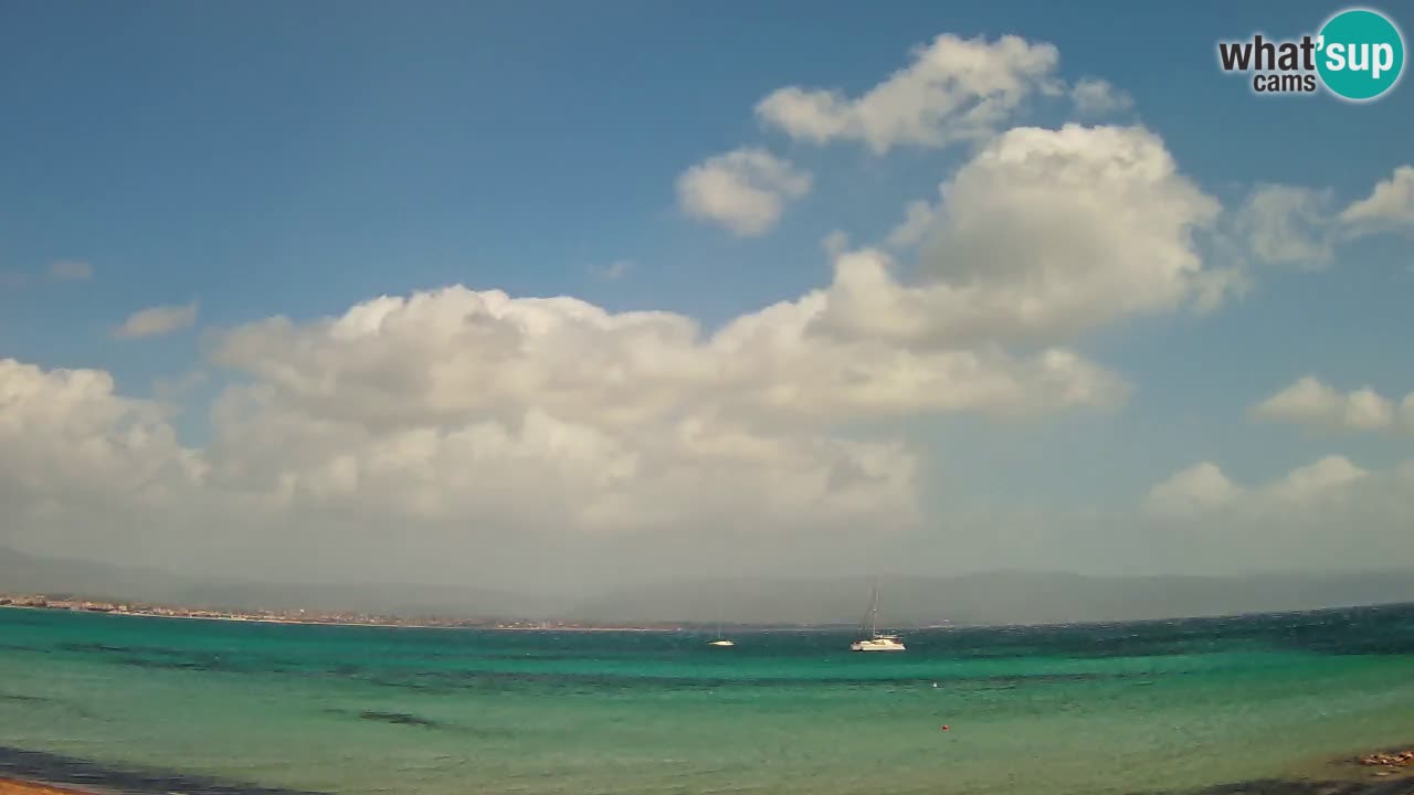 Webcam Cagliari Windsurf Club – Playa del Poetto en directo