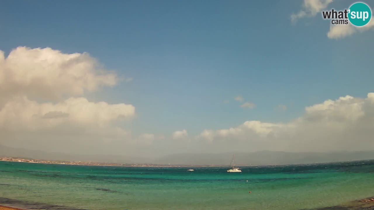 Webcam Cagliari Windsurf Club – Plage du Poetto en direct