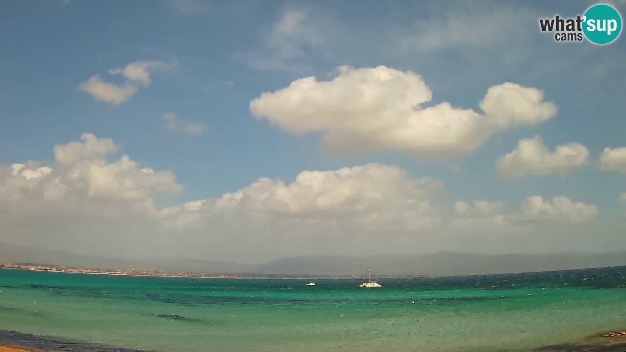 Web kamera Cagliari Windsurf Club – Poetto plaža uživo