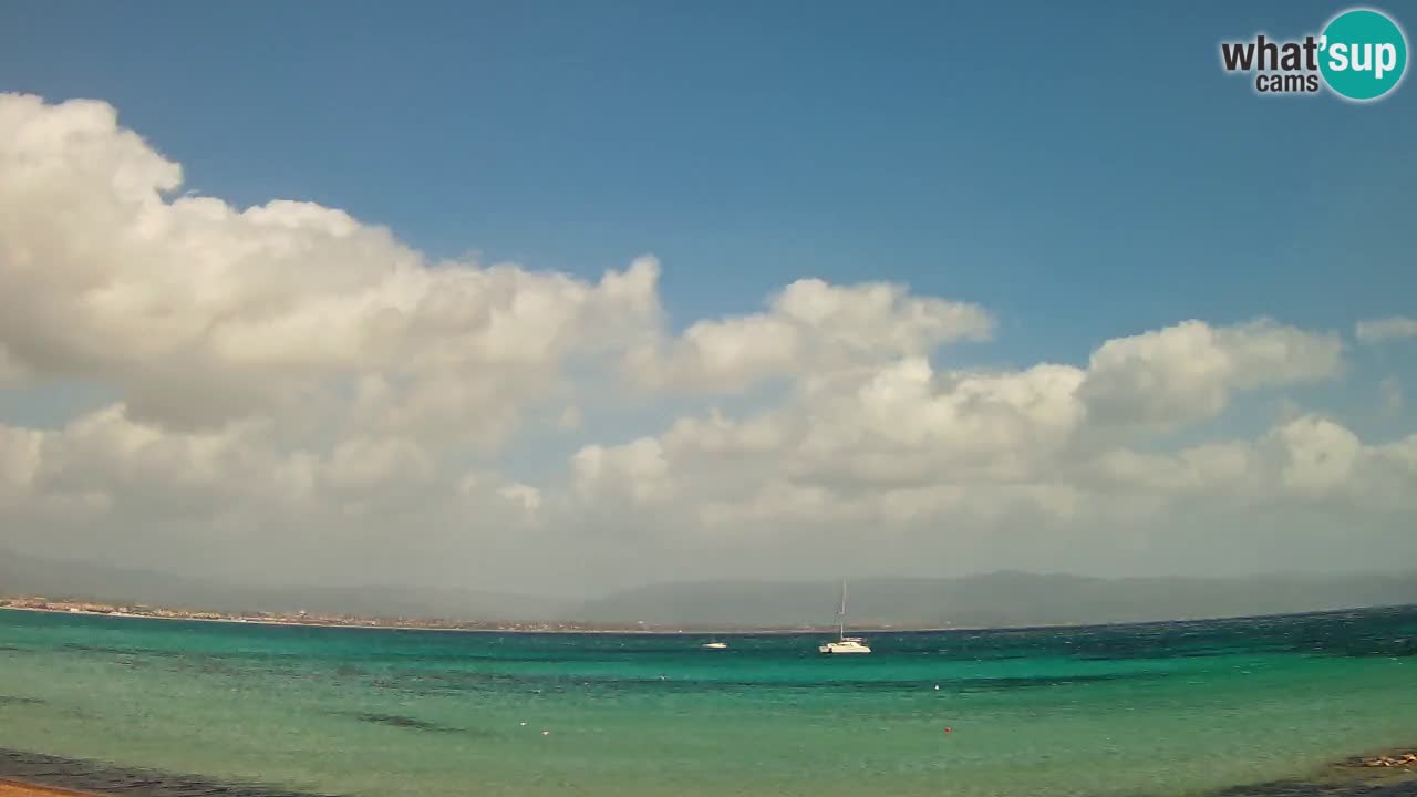 Web kamera Cagliari Windsurf Club – Poetto plaža uživo